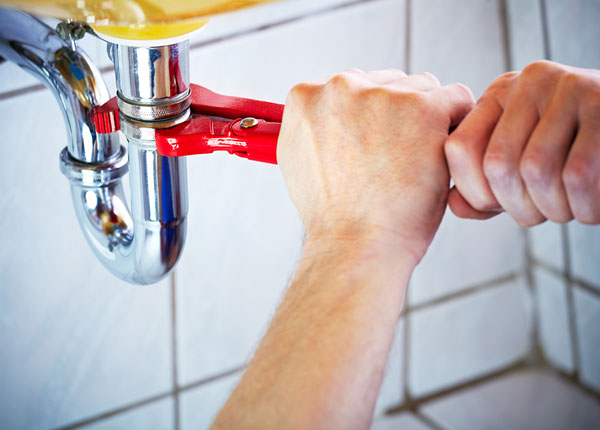 About Willard Plumbers